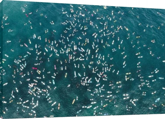 The Paddle Out SC
