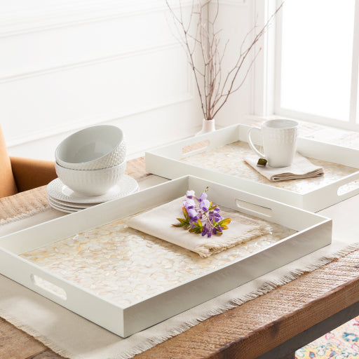 Stunning Penshell tray to serve your favorite guests.