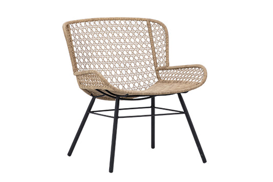 Taylor Indoor/Outdoor Accent Chair