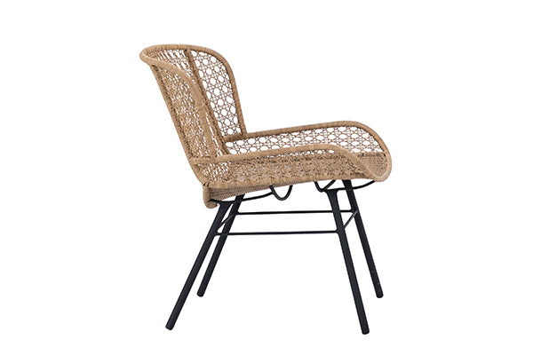 Taylor Indoor/Outdoor Accent Chair