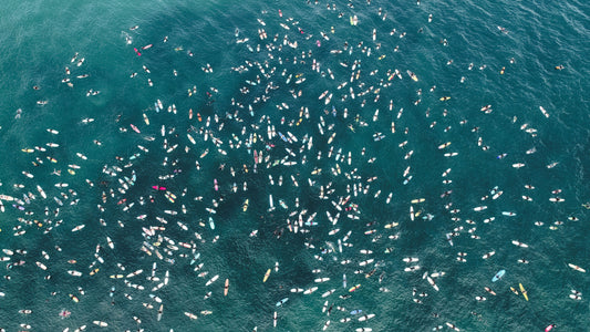 The Paddle Out SC