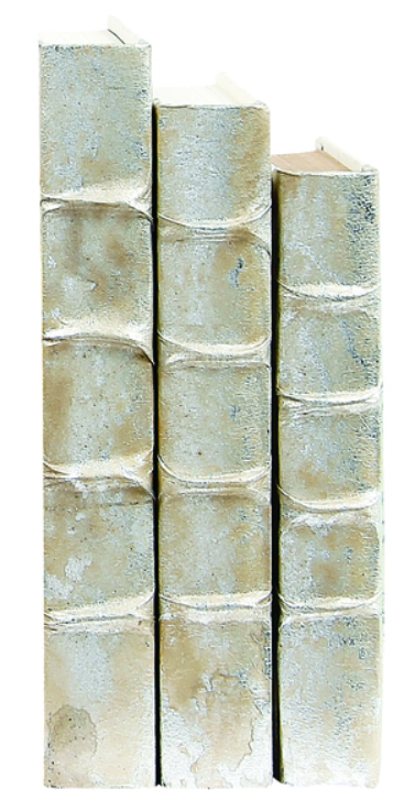 Silver Leaf with Champagne Overlay Books